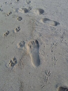 502c83dc-f2b0-4c15-b47b-080c6aa15c5e