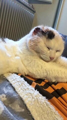 d6cb6a7d-835f-406e-987d-ea5b9d9a9f8d