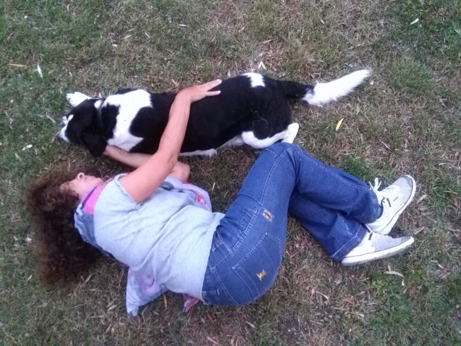 ANIMALI E SPAZIO DI SOGNO ANIMALI E SPAZIO DI SOGNO