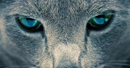 RICONOSCERE PER CONOSCERSI