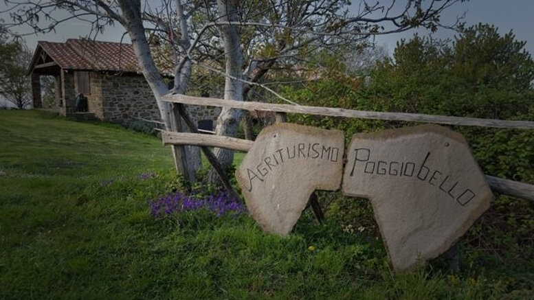 1e1bc053399141d78793a3258ade5796