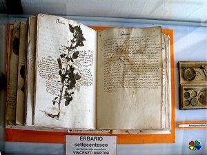 03b61537-9ea4-459c-a648-bd9085cd5398