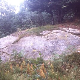 The Great Rock Petroglyph