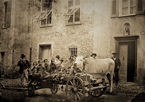 c0814073-b5bd-4e5f-88bd-292b253581f1 c0814073-b5bd-4e5f-88bd-292b253581f1