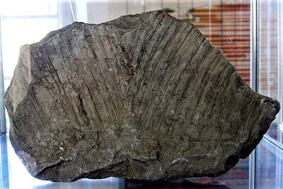 5341e39c-4927-4247-b735-c0d3a60d356b