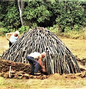 5d15099a-4671-453e-ab0d-629531a35845