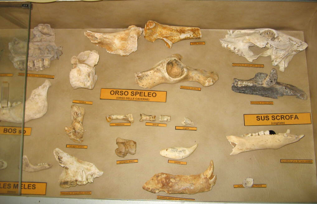 f880a853-e114-4f7e-bf2d-d573d14c7c3f f880a853-e114-4f7e-bf2d-d573d14c7c3f