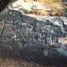 Dolmen - Piampaludo area