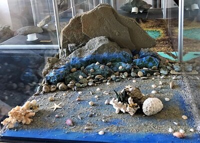 67571fd5-36d0-4315-8d74-6f5da491a6a8