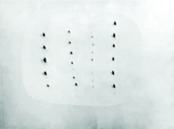 15243575-31f6-4515-afd2-0be53c9cbb85.jpeg 15243575-31f6-4515-afd2-0be53c9cbb85.jpeg