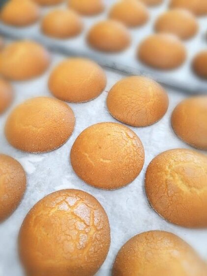 9305b117-7c0e-4462-aff5-caa1551df43d 9305b117-7c0e-4462-aff5-caa1551df43d