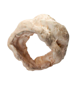 83bfed94-425d-42fc-8a06-b16cd6aebe36