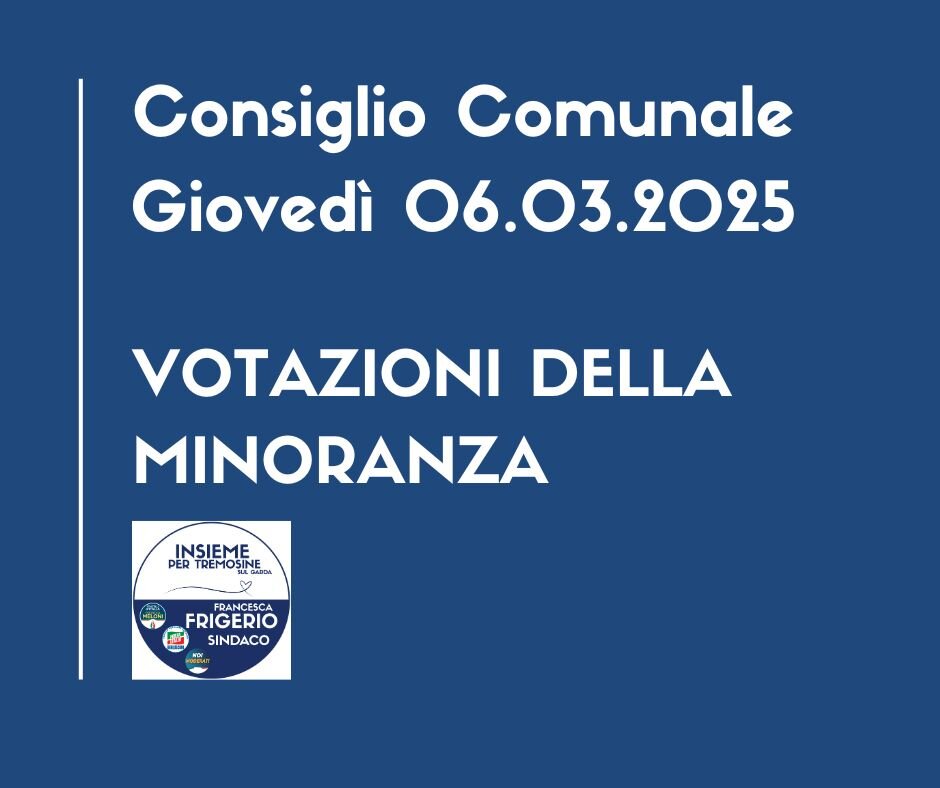 12 MARZO 2025 - RELAZIONE SUL CONSIGLIO COMUNALE DEL 31/01