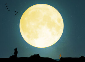 83a8760b-f571-4300-b5c5-b82e7461a8b1