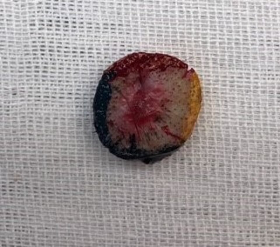 MAPPAGGIO CON COLORANTI MAPPAGGIO CON COLORANTI