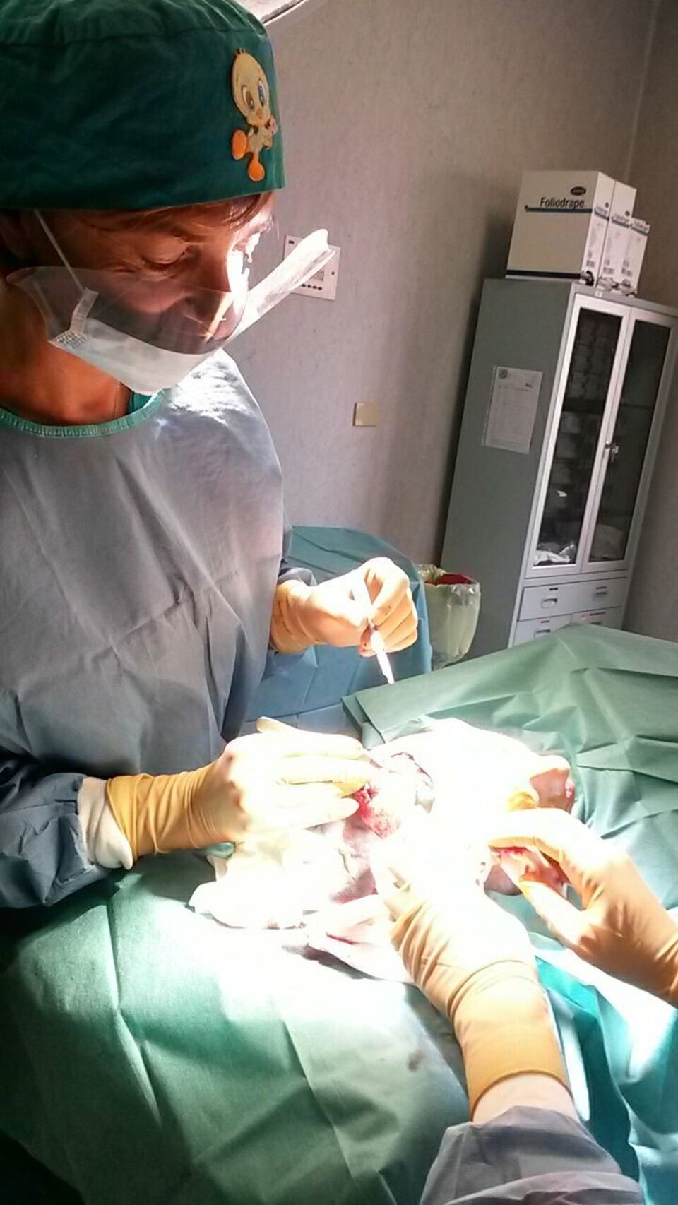 Durante l' operazione del carcinoma basocellulare Durante l' operazione del carcinoma basocellulare