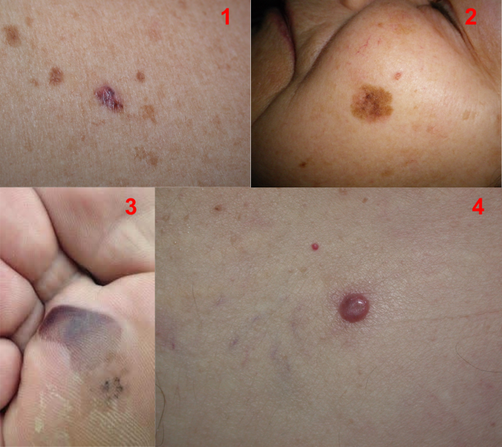 80f3c7bf-ca0b-44e8-8075-8758e1602b16 80f3c7bf-ca0b-44e8-8075-8758e1602b16