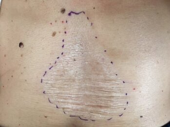 d2a916eb-54ee-45fe-ab0a-c101ba40f5ad d2a916eb-54ee-45fe-ab0a-c101ba40f5ad