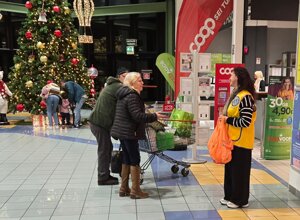 img-20251117-wa0007.jpeg img-20251117-wa0007.jpeg