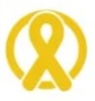 lions cancro infantile.jpeg lions cancro infantile.jpeg