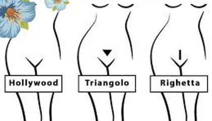 078d0366-99cd-49ef-bbd7-5cf6447439db