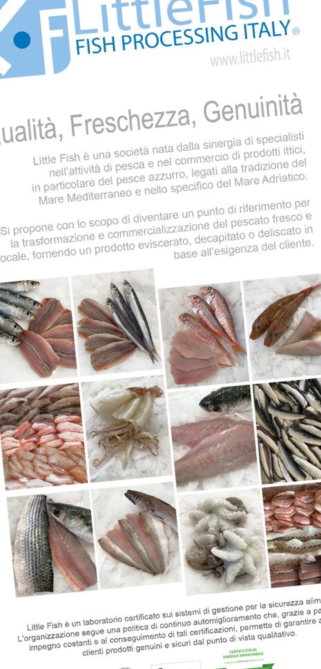 12aa28ac-ce49-448d-b3c2-ea311576422d