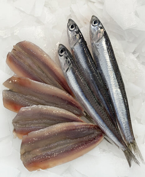 7a10a55e-cc43-49f3-a005-2f314b80d654