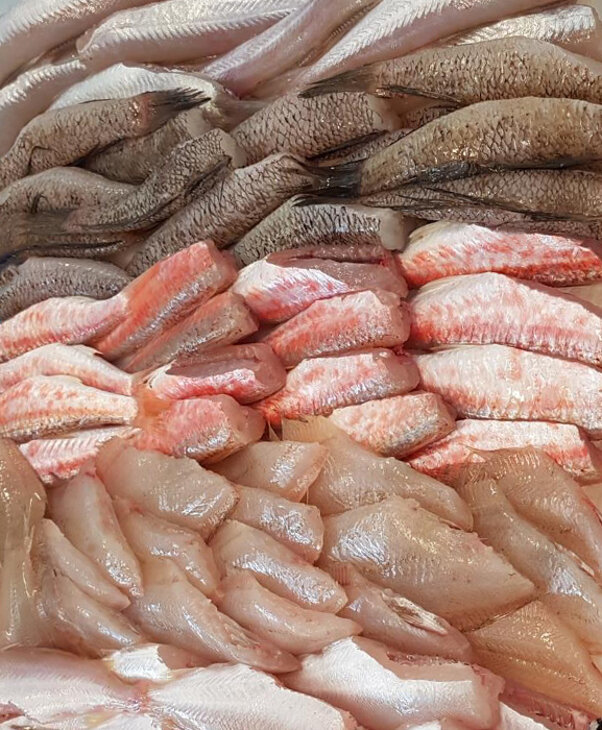 00d8129b-aea7-4ed6-8088-d7554d5a184e