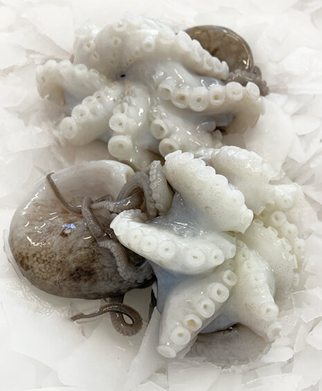 fb36cd01-c3a7-4999-9acb-11fc031dd8c1