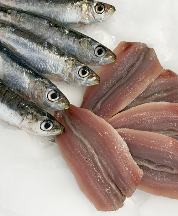 9a98cd59-5d7b-4120-8ddf-1c79e247c13c