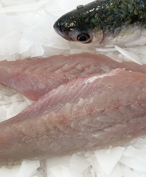 c031847b-47f0-4536-95e1-283f0495e2a5