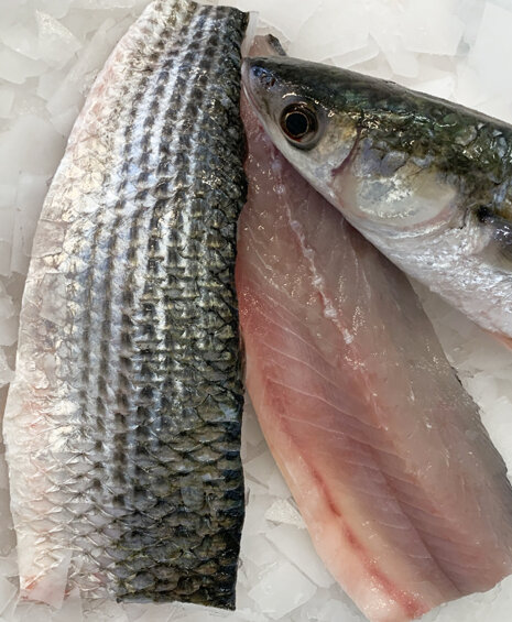 a28652b2-89bb-46d6-a66a-a99b088f325f