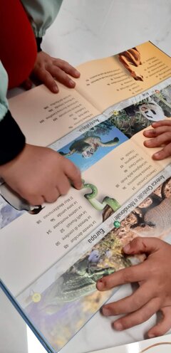 immagine whatsapp 2025-11-06 ore 09.23.08_2ae6bf05.jpeg