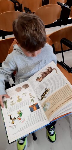 immagine whatsapp 2025-11-06 ore 09.23.09_cd21e059.jpeg