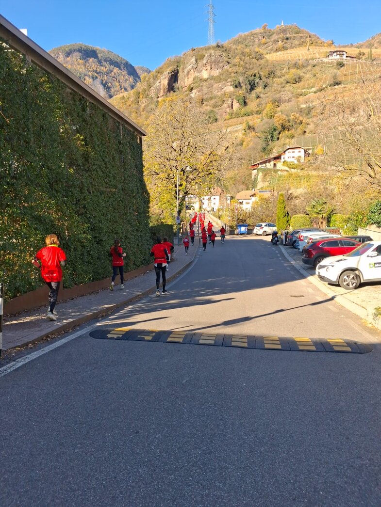 marciadonne2025_2.jpeg marciadonne2025_2.jpeg