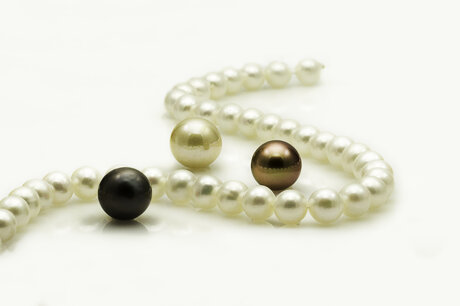 0a3b7665-b9f0-4305-ae61-599c45717f3e