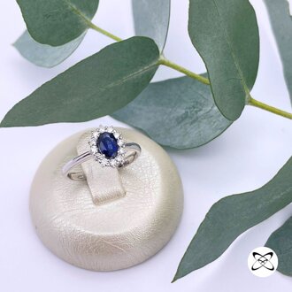 ef288b62-81ee-423d-b17c-9e481a174045 ef288b62-81ee-423d-b17c-9e481a174045