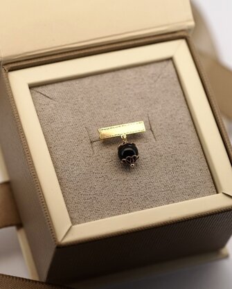 fr_11508_size880.jpeg fr_11508_size880.jpeg