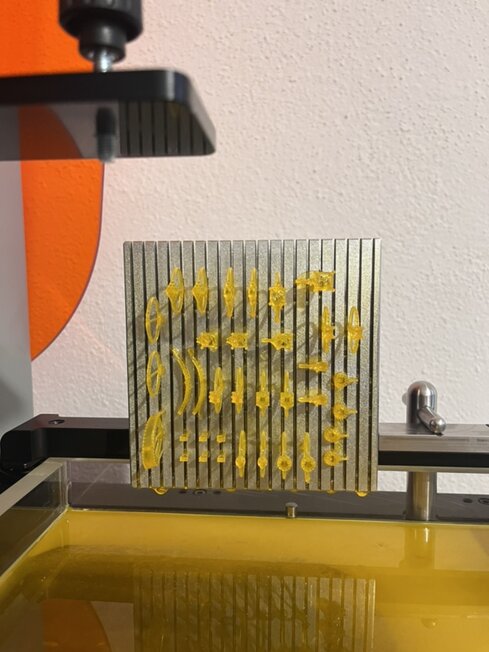 fr_5724_size880.jpeg fr_5724_size880.jpeg