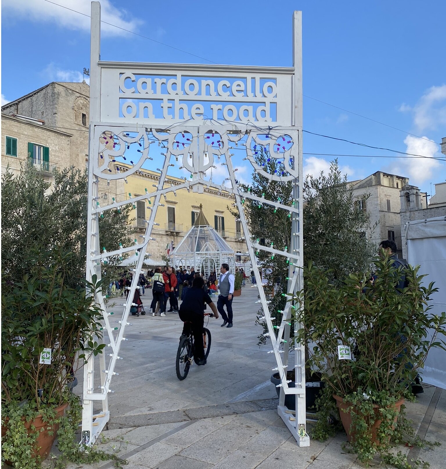 Sagra del Fungo Cardoncello a Ruvo di Puglia: appuntamento fisso a novembre