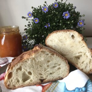 e69ab866-5251-4f16-a405-a9a848b8e328