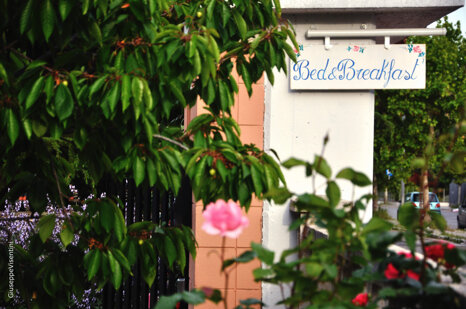 5444e88a-eb9a-4315-b9aa-a1d0bd439c5d 5444e88a-eb9a-4315-b9aa-a1d0bd439c5d