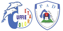 daebbf4d-5f43-43b4-8af9-f5c9c4b4a4b3