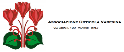 logoorticolanew