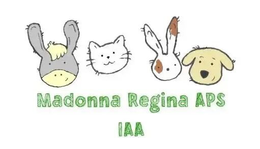 336ed60a-859d-47e1-9ee9-bcdb145534b2