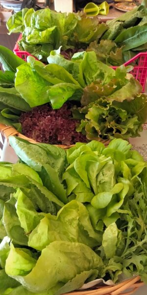 518023844_767302172472899_9011979276945517500_n.jpeg 518023844_767302172472899_9011979276945517500_n.jpeg