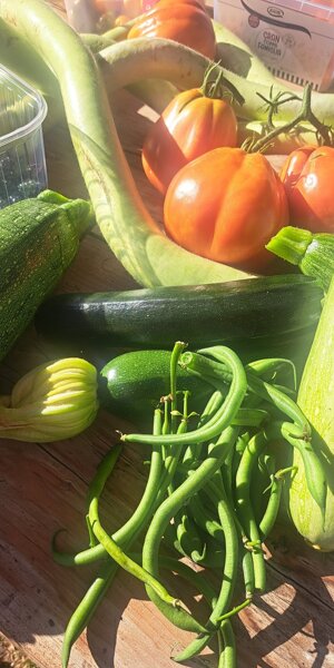 515419440_762743092928807_8247191661619225214_n.jpeg 515419440_762743092928807_8247191661619225214_n.jpeg