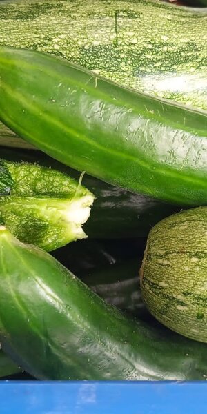 525016539_779626834573766_8851777936937057869_n.jpeg 525016539_779626834573766_8851777936937057869_n.jpeg