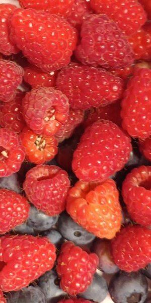 ae4000c1-36b3-4e4c-9d8e-9af8163e96cc.jpeg ae4000c1-36b3-4e4c-9d8e-9af8163e96cc.jpeg