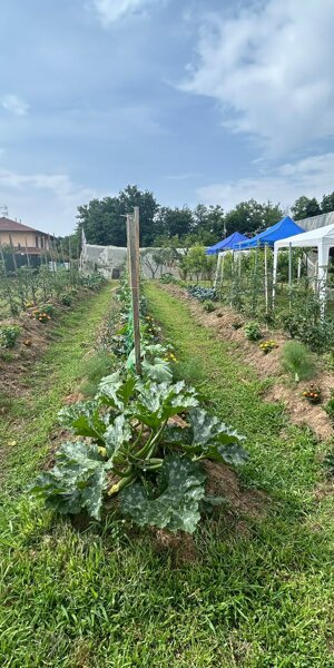 520516723_775347721668344_8893874130127615977_n.jpeg 520516723_775347721668344_8893874130127615977_n.jpeg